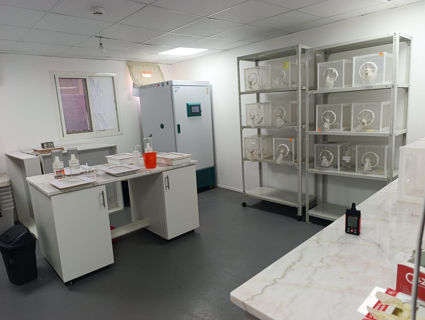 AD Lab