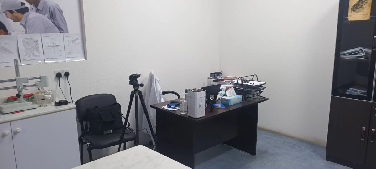 Al Ain Lab